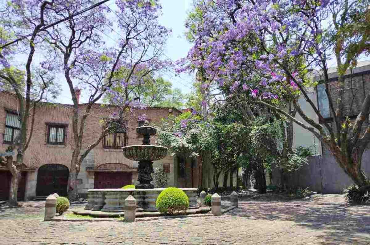 Dónde ir en el Barrio de Chimalistac en CDMX ¡Visítalo!