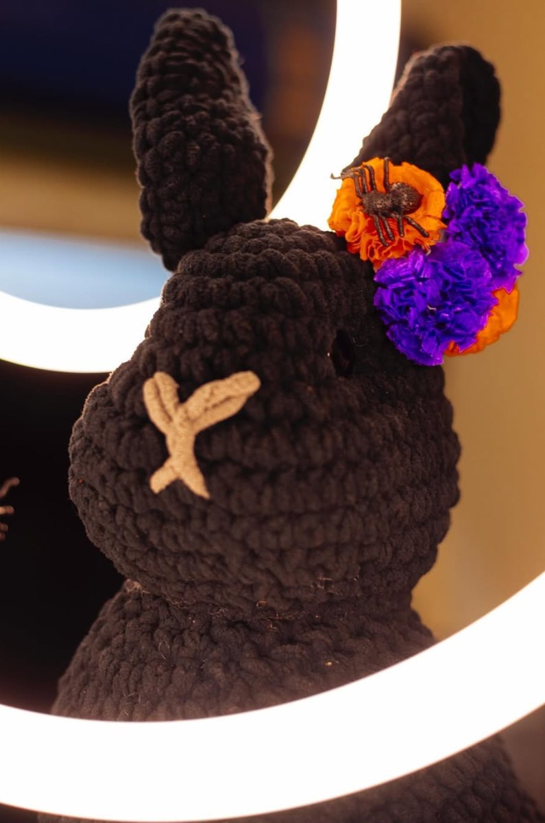 Foto: @conejonegrocafe