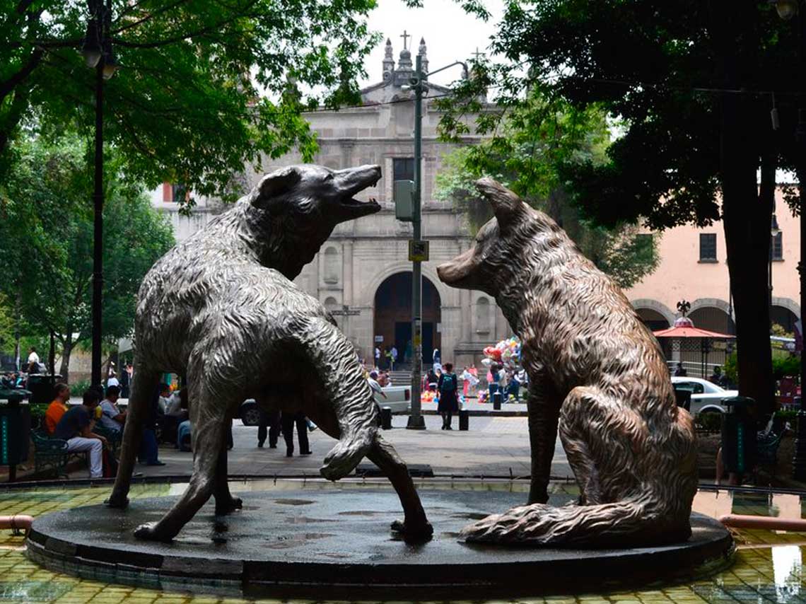 Coyoacán / Donde Ir