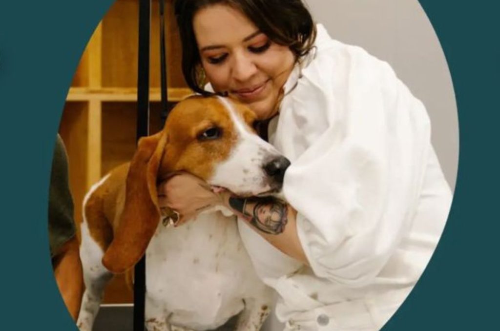 Morgan: el spa para perros en CDMX que prioriza su bienestar