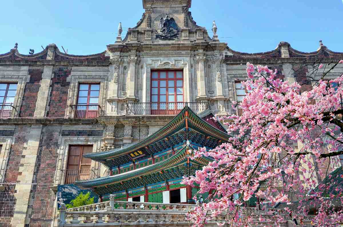 Nueva exposición gratis: “El Encanto de Seúl” en el Museo Nacional de las Culturas del Mundo