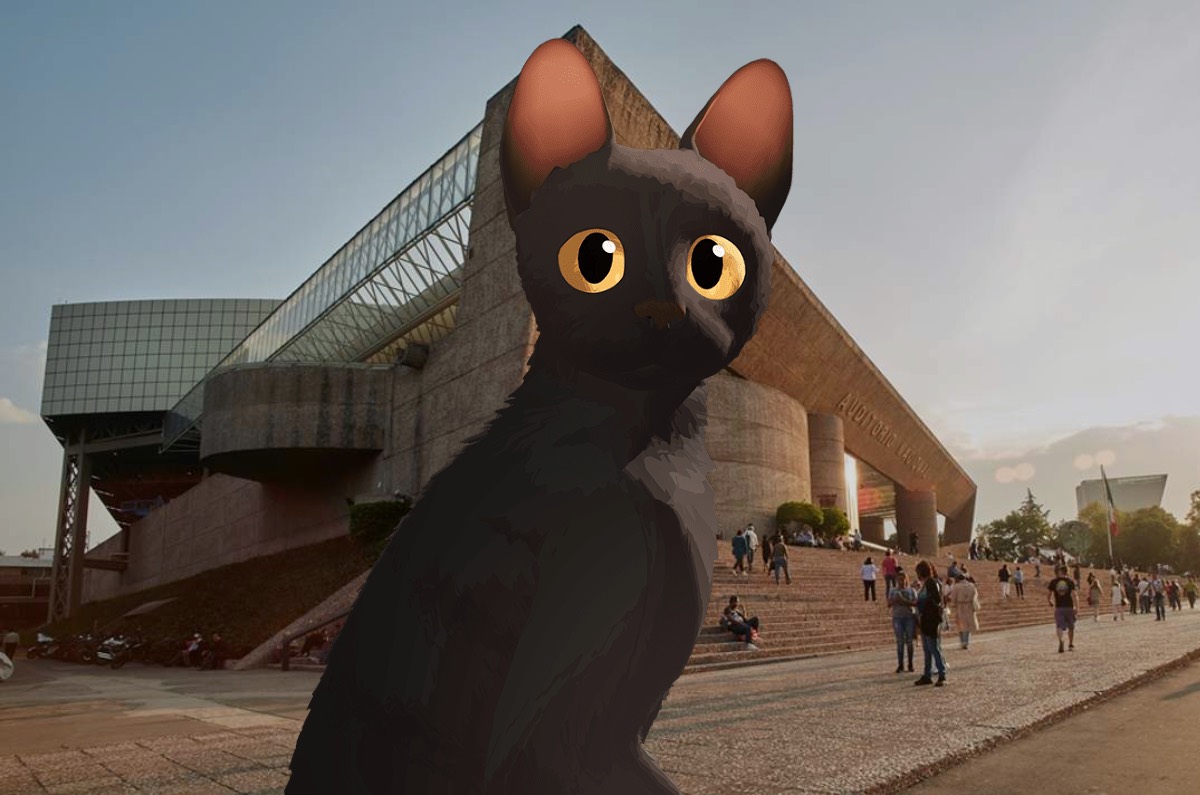 Cancelado: ¡Flow no será musicalizada en el Auditorio Nacional!