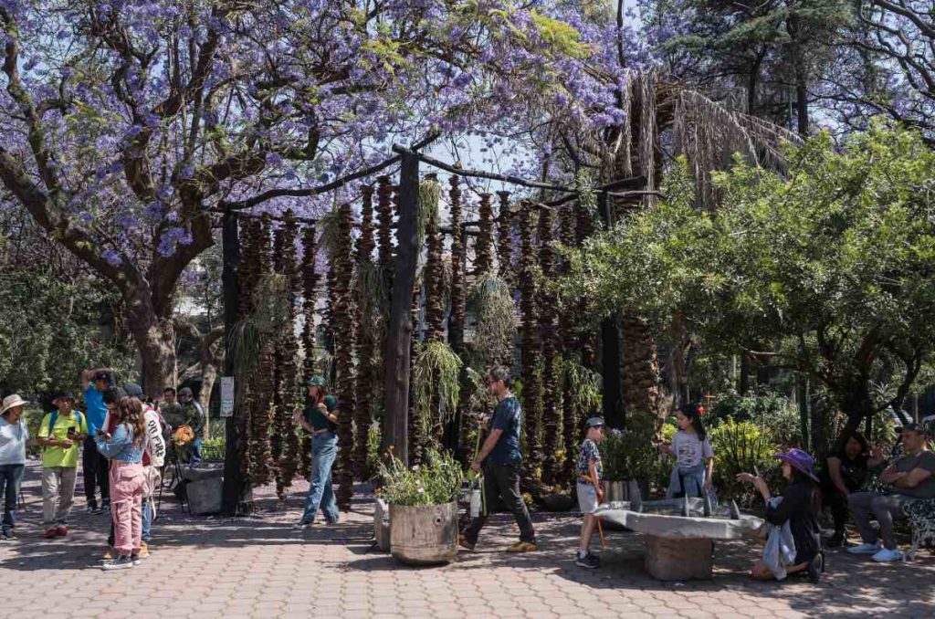 FYJA vuelve a Polanco del 30 de abril al 3 de mayo de 2026 con diseño floral, paisaje urbano e intervenciones en Parque América, Lincoln, Masaryk y Polanquito. Conoce sus convocatorias.