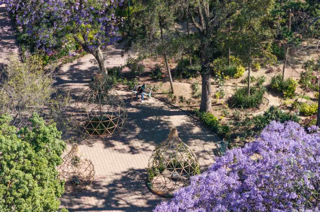 FYJA 2026 regresa a Polanco con flores, jardines e intervenciones creativas 4