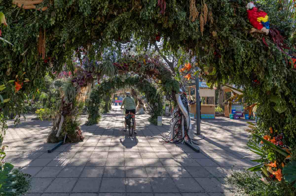 FYJA 2026 regresa a Polanco con flores, jardines e intervenciones creativas