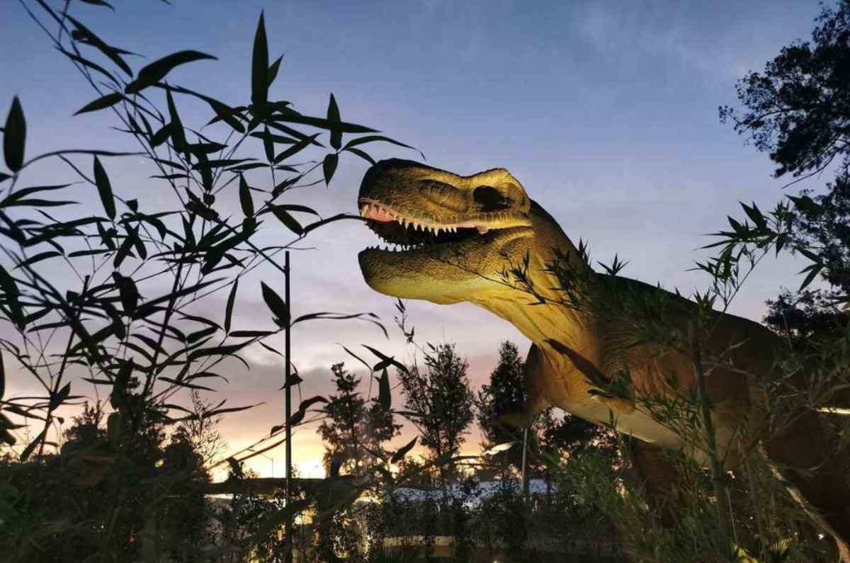 Colonia Juarez / Donde Ir