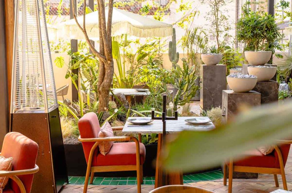 El secreto mejor guardado de Polanco: descubre un oasis con terraza y comida en CDMX