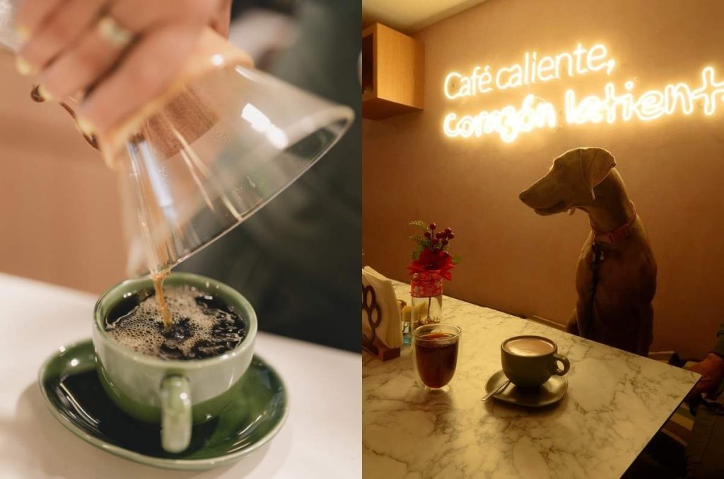 Latte Pelitos: la cafetería pet friendly donde tu mascota vive la experiencia completa