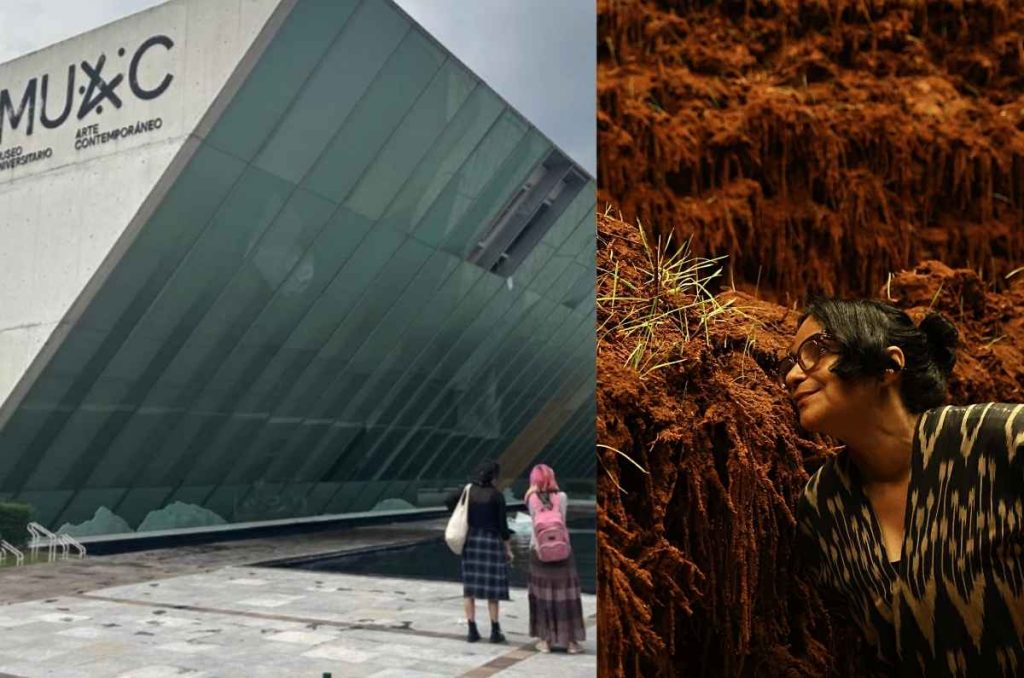 MUAC reabre en enero 2026 con exposiciones de Marta Palau, Delcy Morelos y más