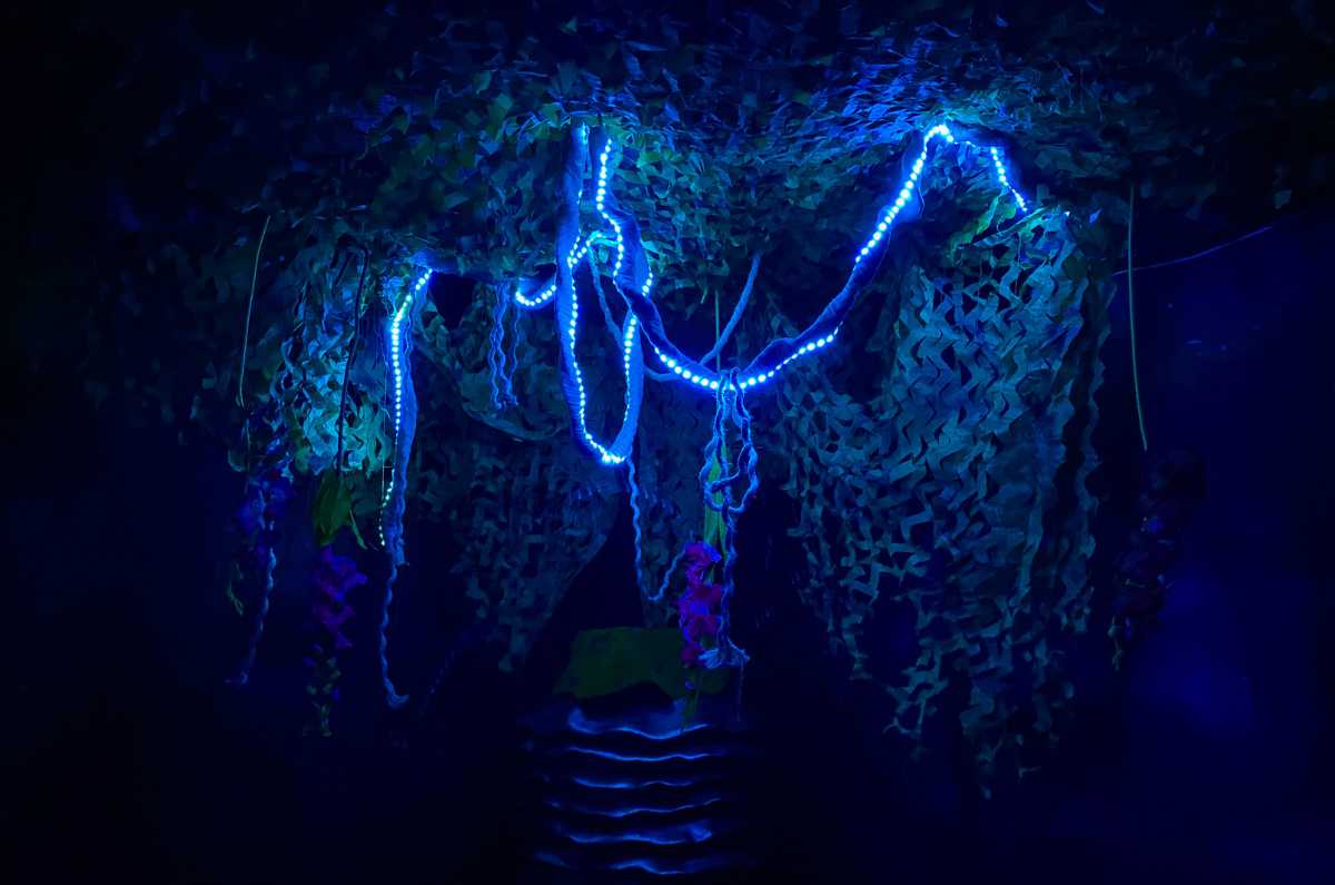 Foto: Adriana Espinosa (@luna.deagosto)