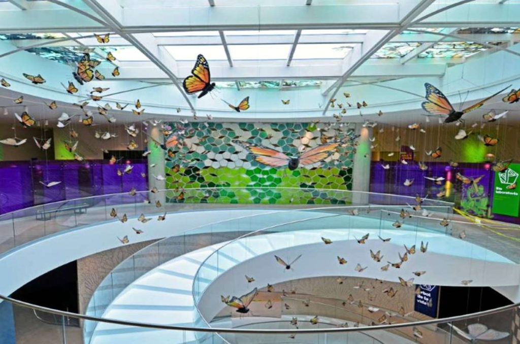 Pabellón Nacional de la Biodiversidad: recorridos escolares