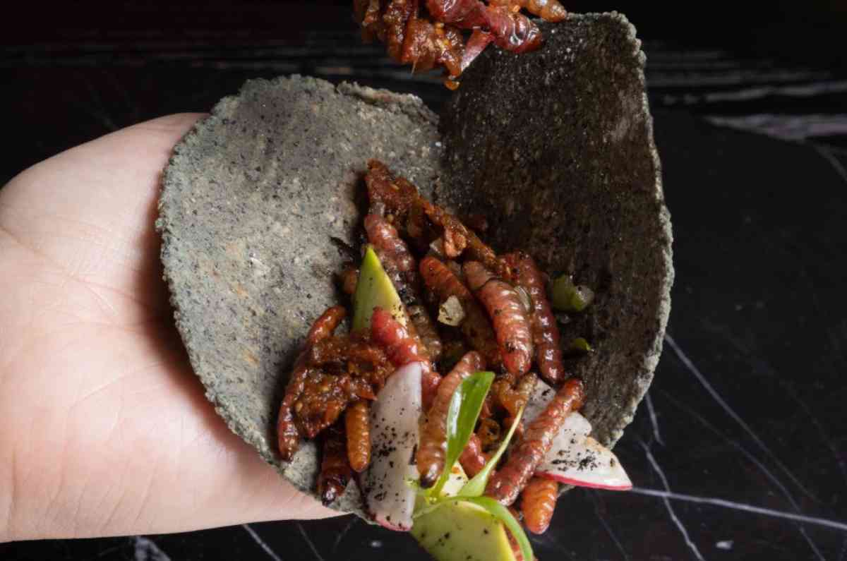 Paxia: Un restaurante lleno de tradición mexicana