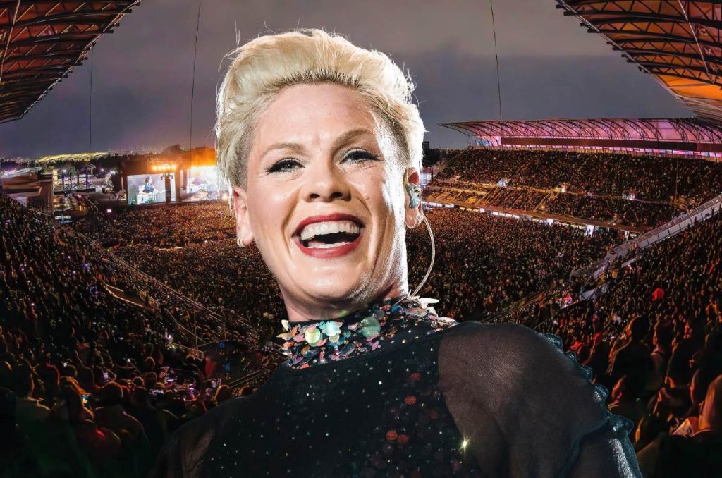 P!nk cancela conciertos en México ¿Cuál es el motivo?