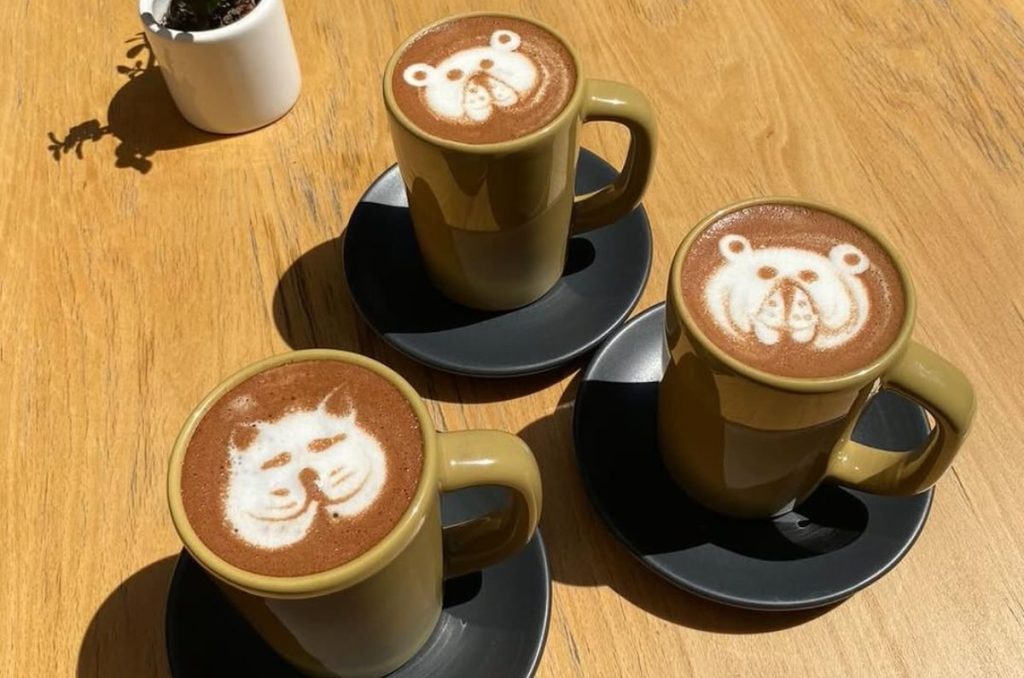 ¿Qué más encontrar en Ponke? 