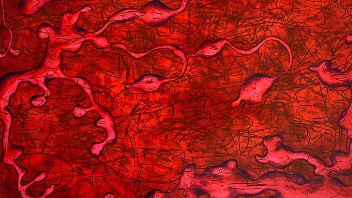 La expo de realidad aumentada por Ilan Dana