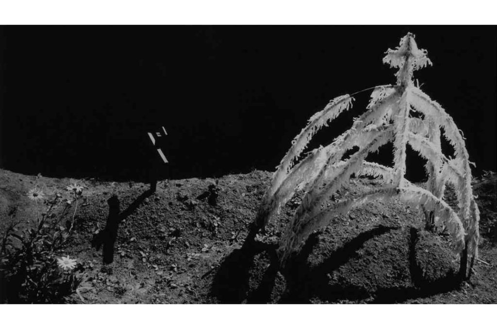 Exposición ‘Registro de Oscuridades’ de Manuel Álvarez Bravo en el Museo de Arte Moderno