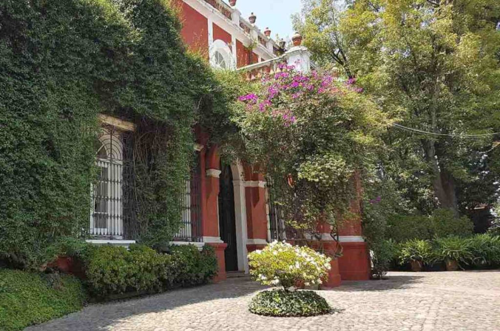 Ruta Foodie en San Ángel: para desayunar, comer y beber