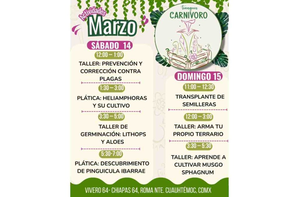 El Tianguis Carnívoro reunirá a cultivadores y amantes de las plantas carnívoras. Habrá venta de especies, talleres y pláticas con expertos