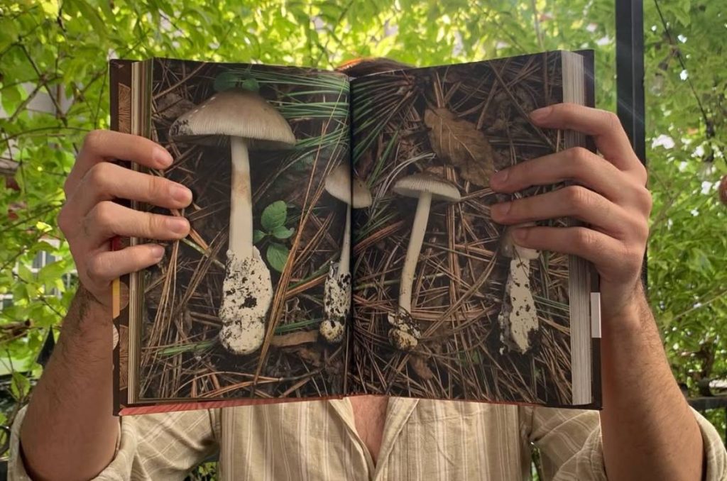 ¿Qué más encontrar en El Desastre CDMX? 